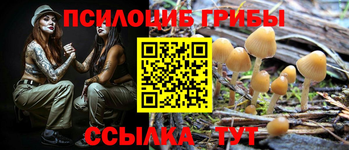 Псилоцибиновые грибы Cubensis  Вход с VPN  Александров 